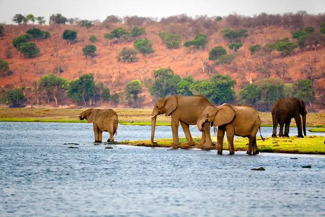 Botswana Landscape