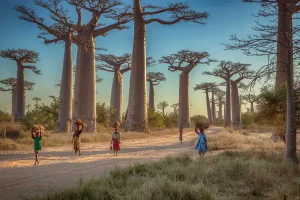 Madagascar Landscape